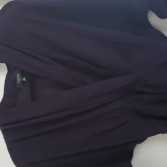 Dark plum babaton dress - Picture 6 of 7